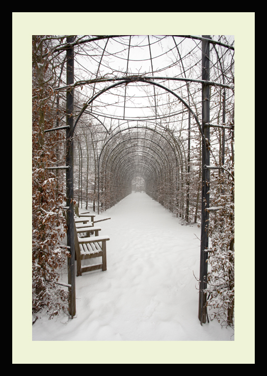 alnwick gardens winter